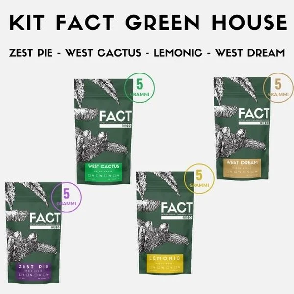 Kit Green House 5g x 4 genetiche
