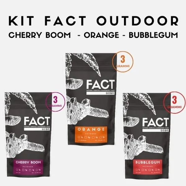 Kit Outdoor 3g x 3 genetiche