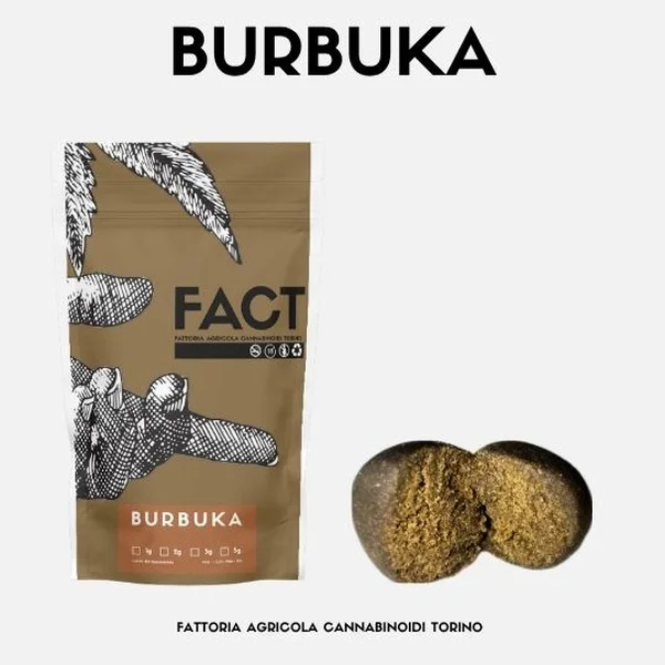 Burbuka 3g