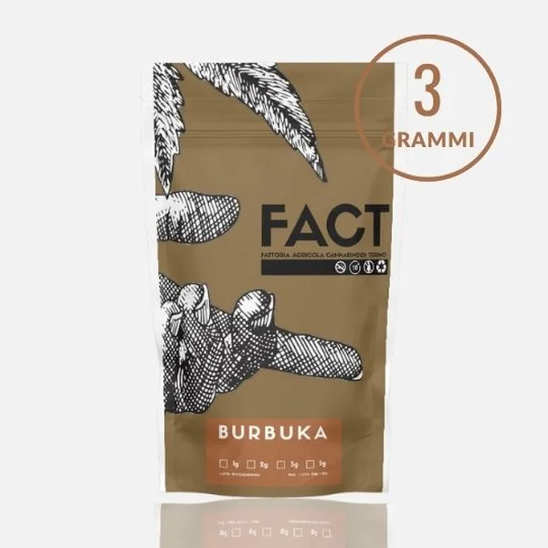 Burbuka 3g