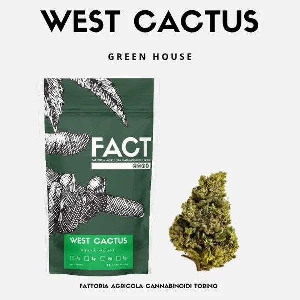 West Cactus 5g