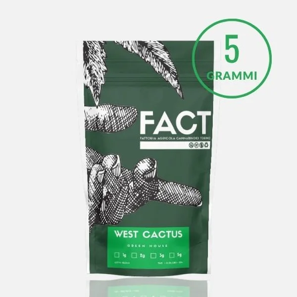 West Cactus 5g
