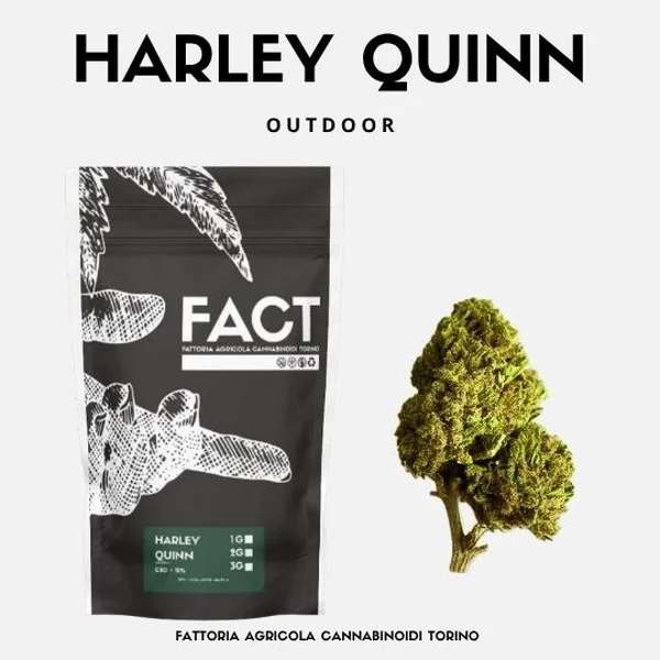 Harley Quinn 25g