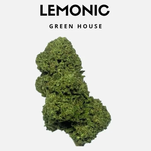 Lemonic 25g
