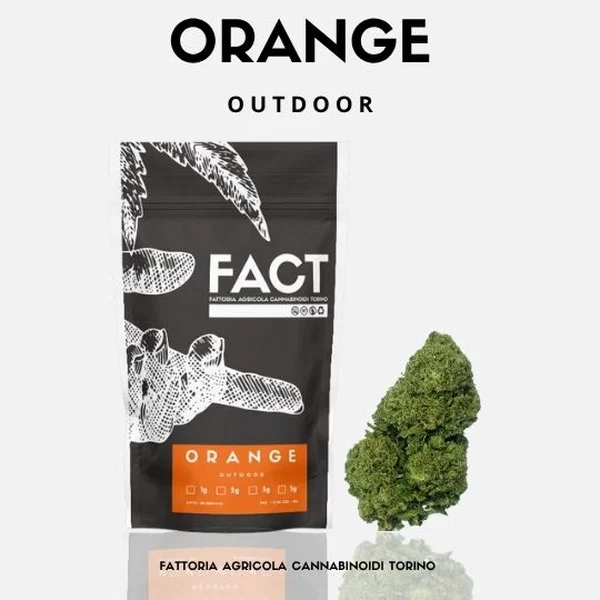 Orange 25g