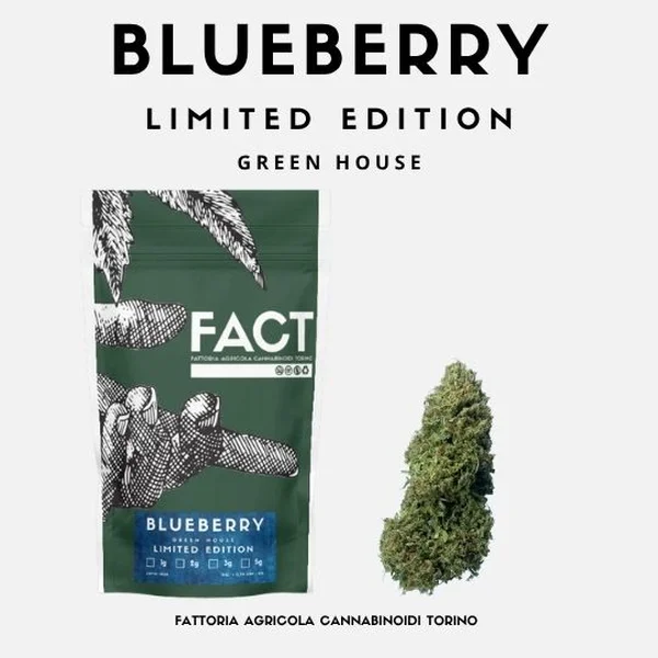 Blueberry 10g