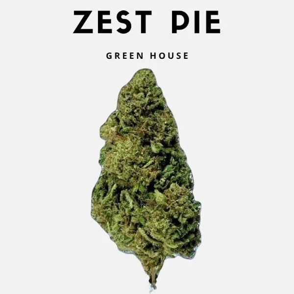 Kit Green House 5g x 4 genetiche