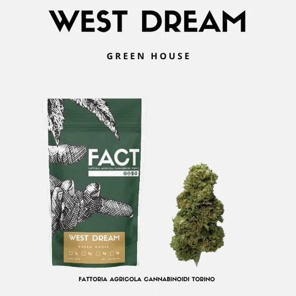 West Dream 25g