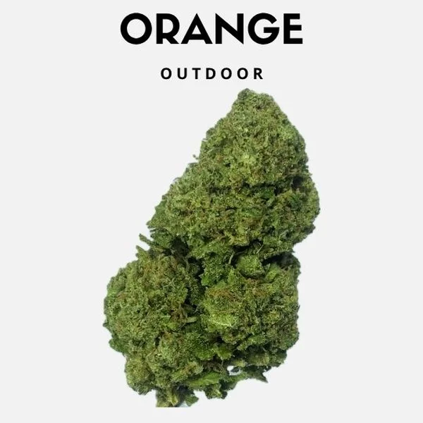 Orange 25g