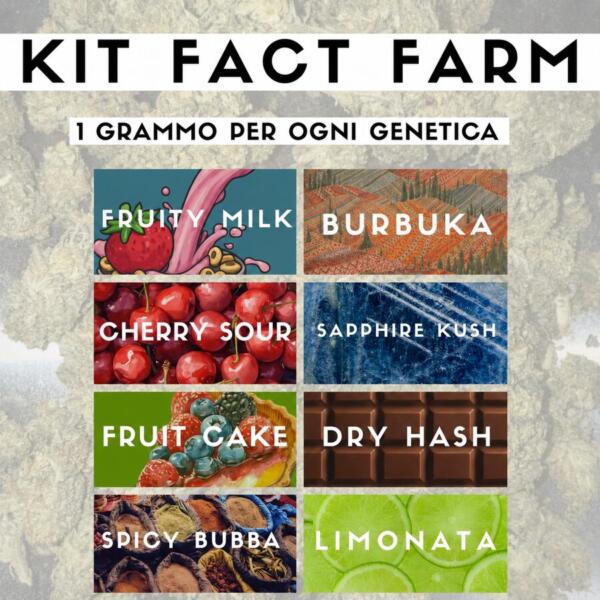 Kit Fact Farm: tutte le varietà x 1g